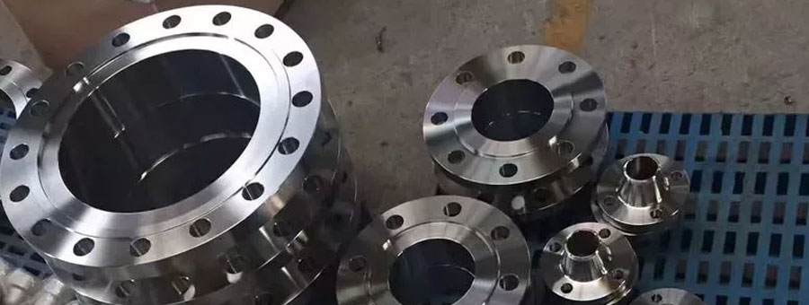 bridas de acero inoxidable 310