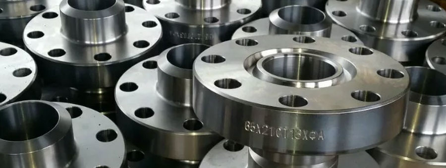 bridas de acero inoxidable 446